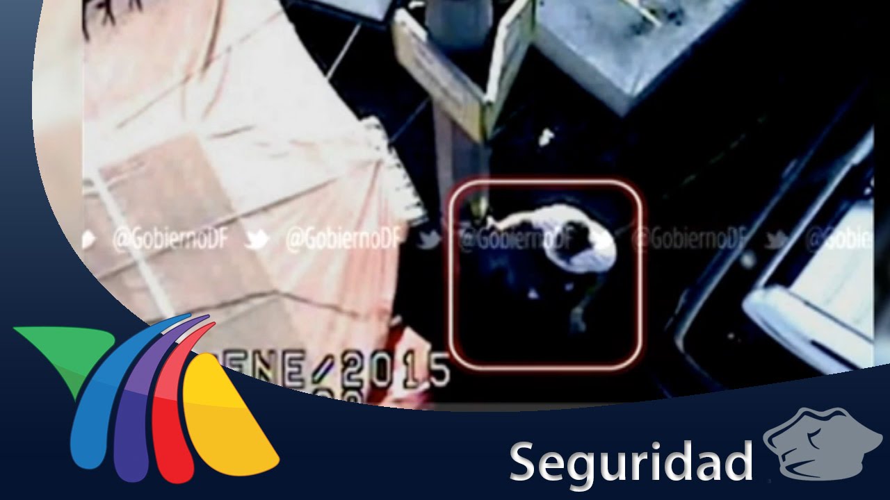 Botones de ayuda en la Ciudad de M&eacute;xico | Noticias