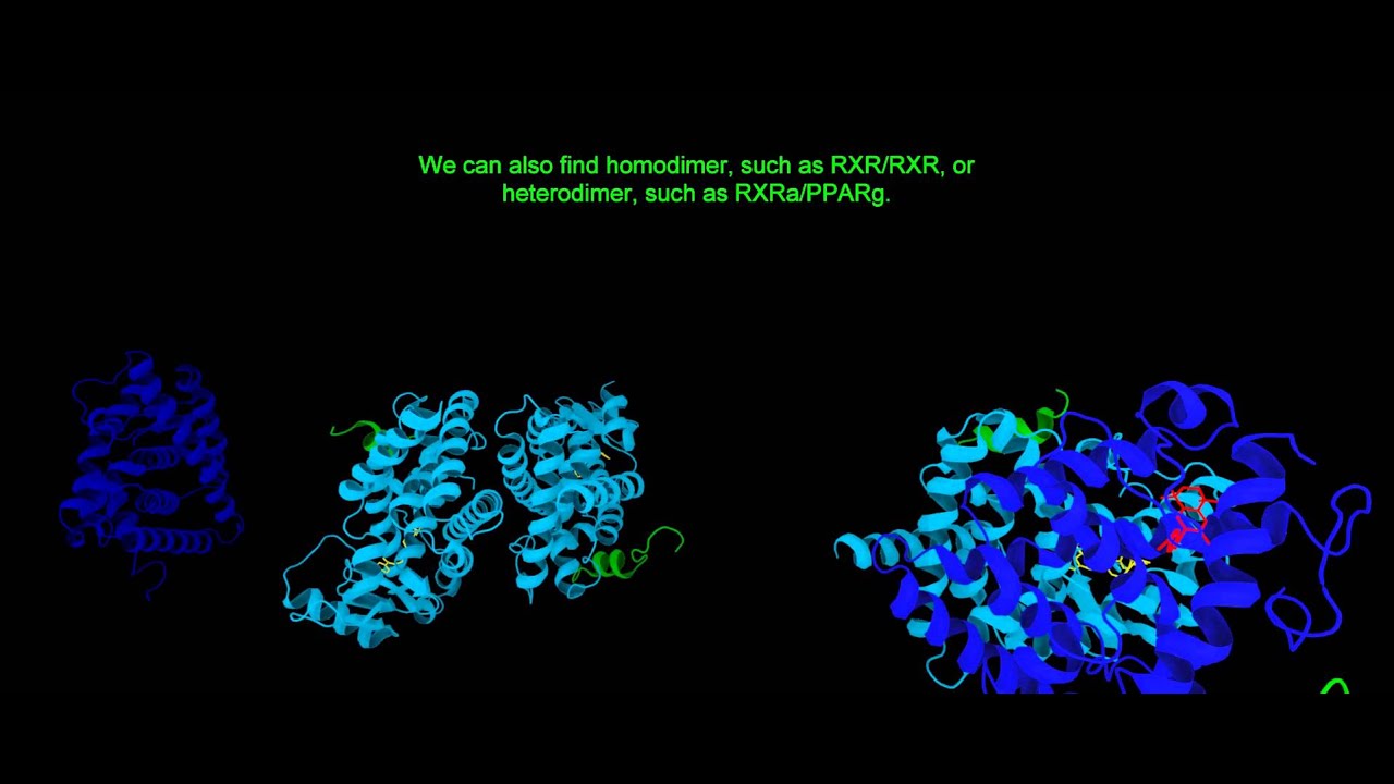 Nuclear Receptors Introduction