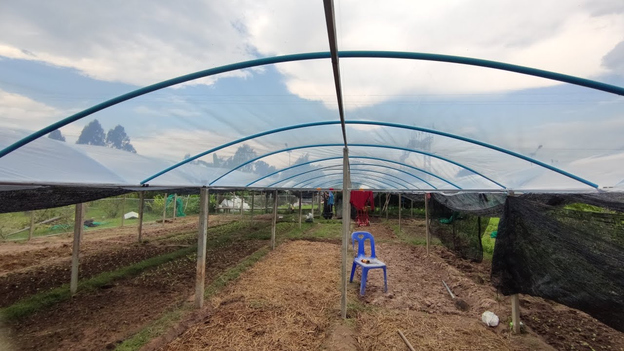 โรงเรือนแบบนี้จะแข็งแรงไหม หลายคนตั้งคำถาม กับการใช้ท่อ PVC ทำโครงหลังคา