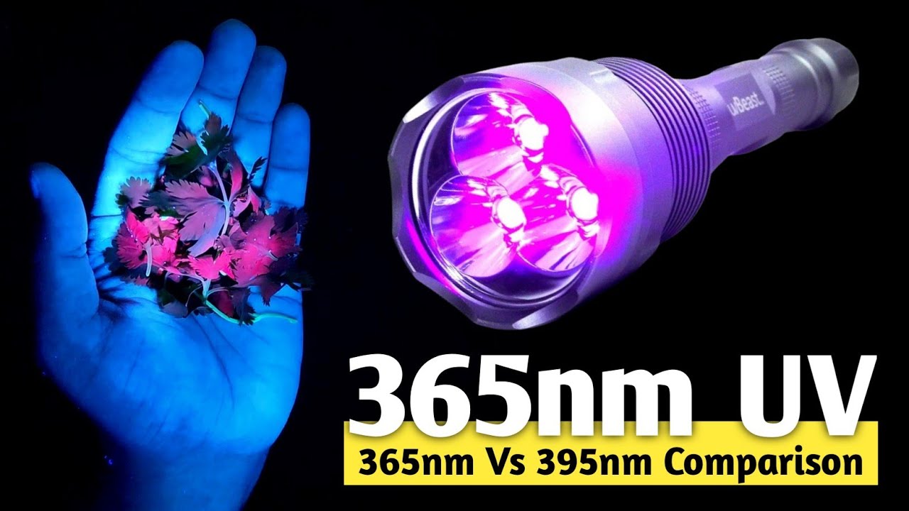 uvBeast | Red Cilantro | 365nm Vs 395nm UV Light Comparision
