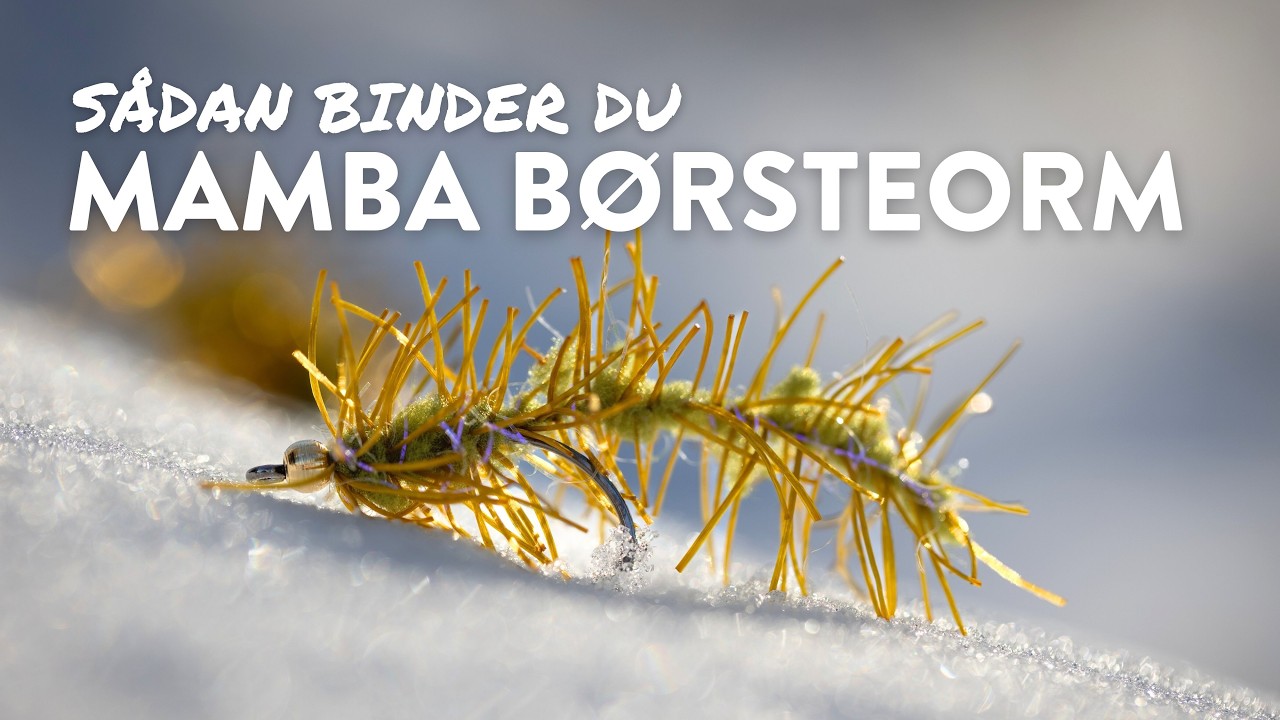 MAMBA BØRSTEN - En super let og super effektiv Børsteorm!