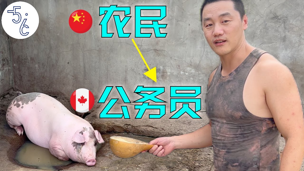 中国养猪娃，移民加拿大做公务员：普通人成功移民心得分享！