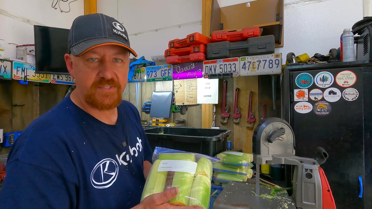 The Quickest Way to Freeze Corn on The Cob!
