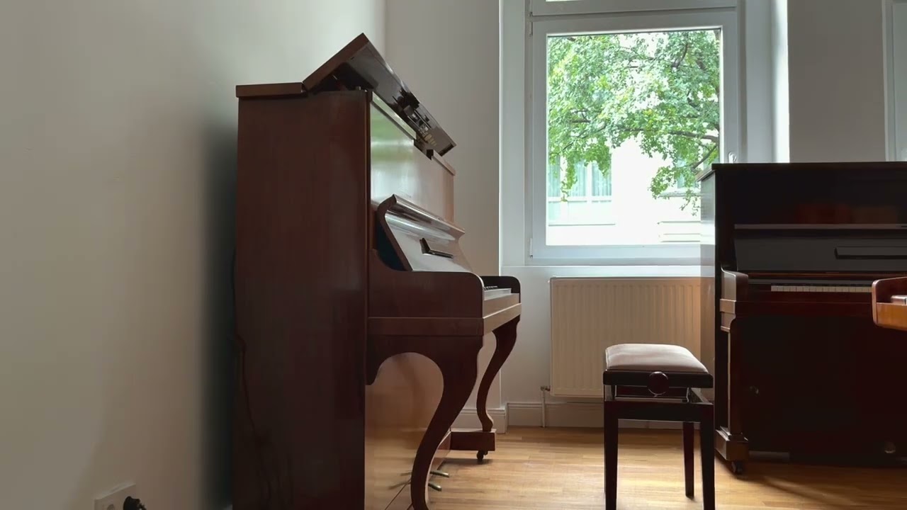 Seiler , 85 y.o Fantastic sounding piano, sounds better than a Steinway grand piano!