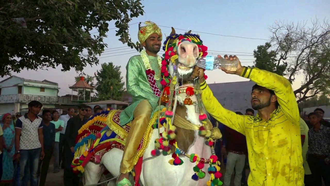Rajasthani Godi Fuleku || Dj Live Varghodo || 2019