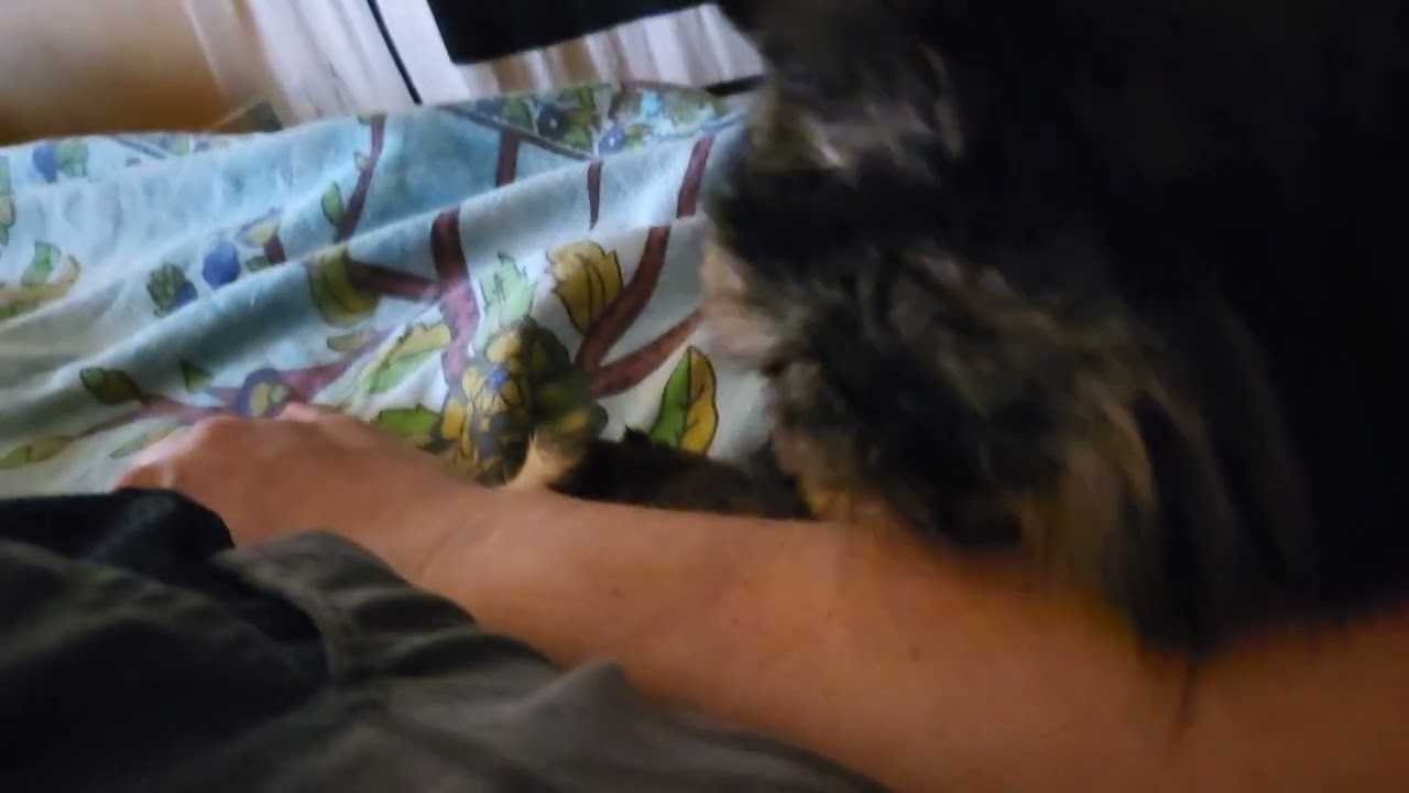 Pumpkin has good taste in humans.   2.1.2025