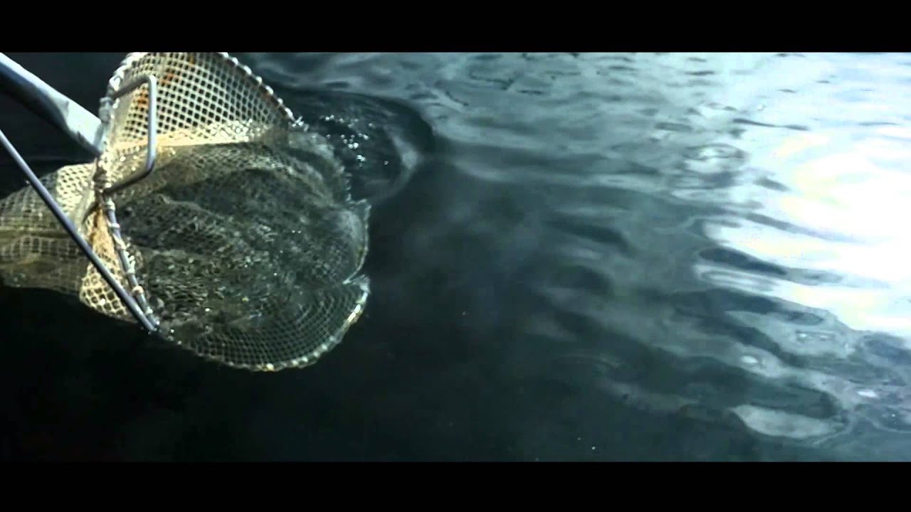 Glenarm Organic Salmon Official Video