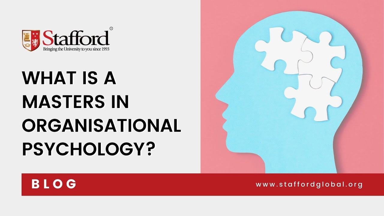 What is a Masters in Organisational Psychology?