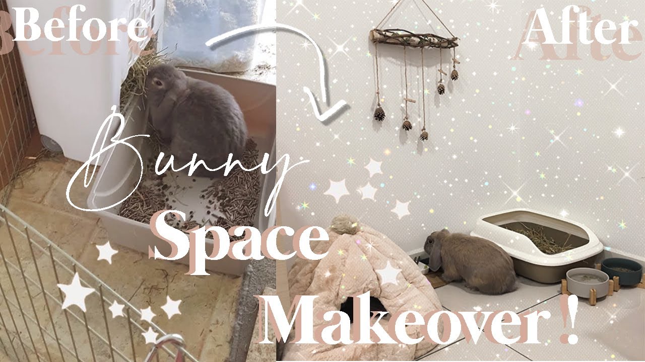 BUNNY space MAKEOVER !!  Bunny goodies unboxing + AESTHETIC  * free roam bunny * || LOVEBYWENDY