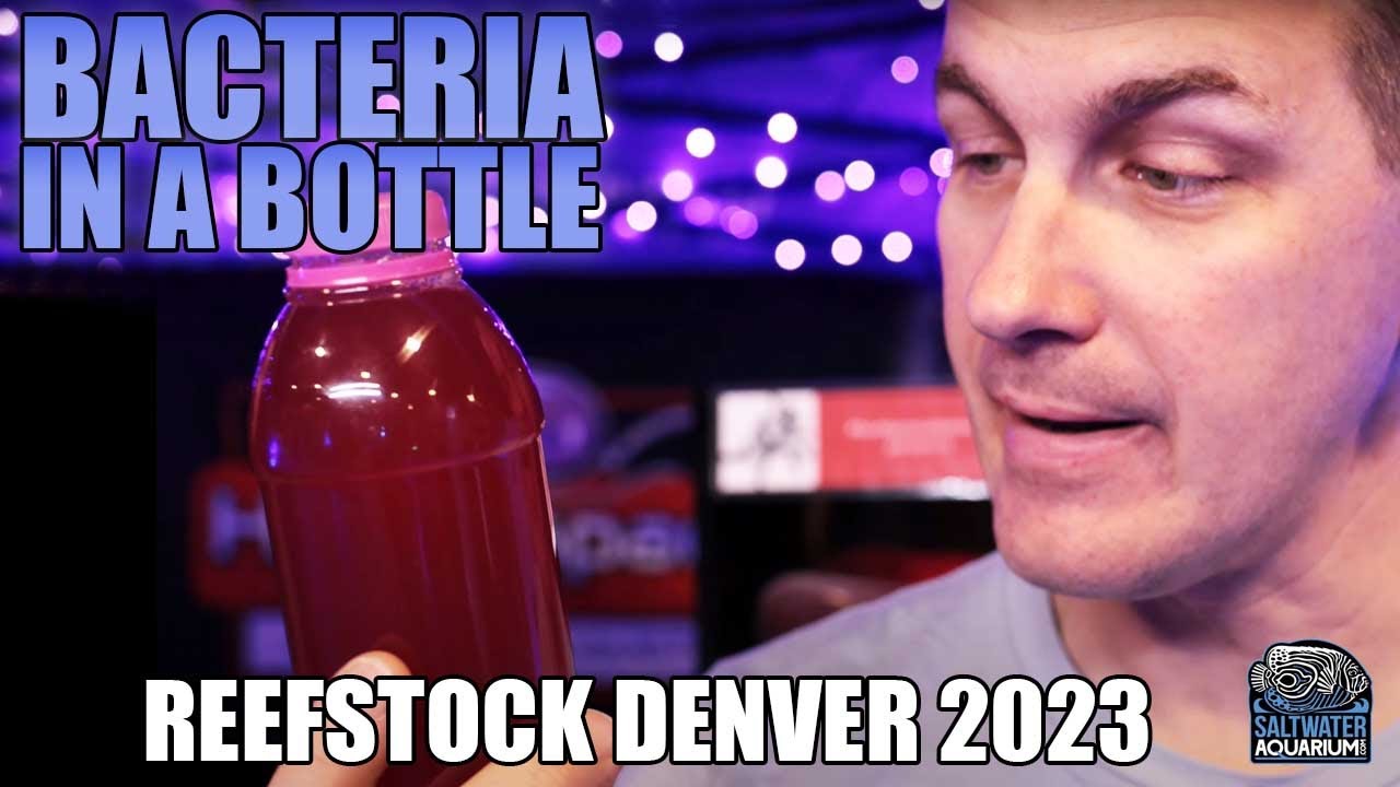 HYDROSPACE Live Natural Bacteria In A Bottle, Probiotics for Your Tank - Reefstock Denver 2023