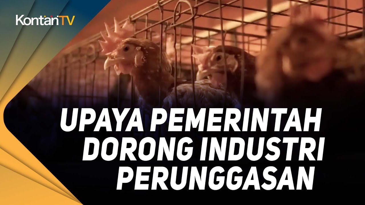 Upaya Pemerintah Dorong Industri Perunggasan