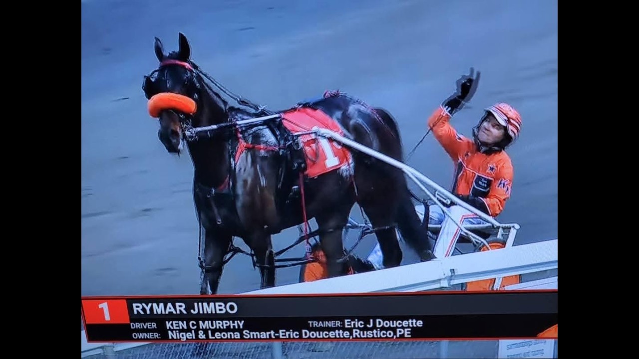 Maritime Harness News & Podcast- Kenny Murphy