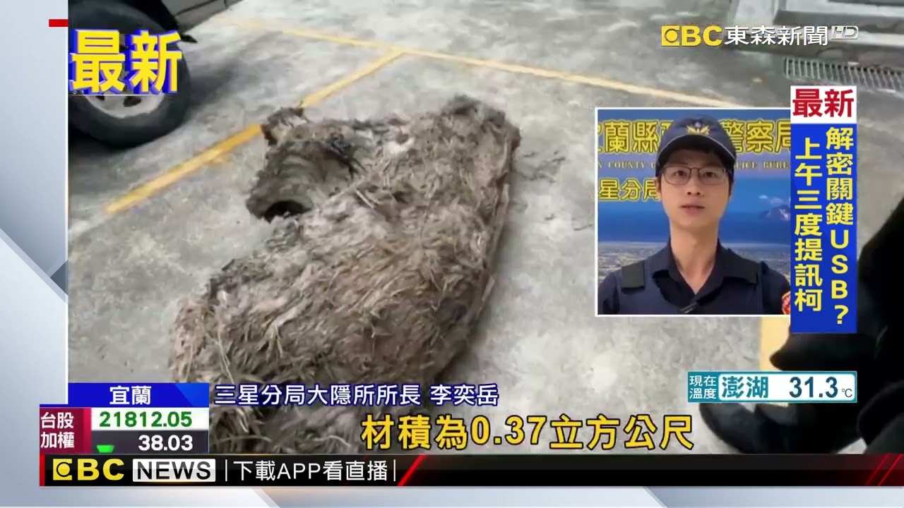 宜蘭安農溪草叢飄木頭香 山老鼠露餡被逮@newsebc