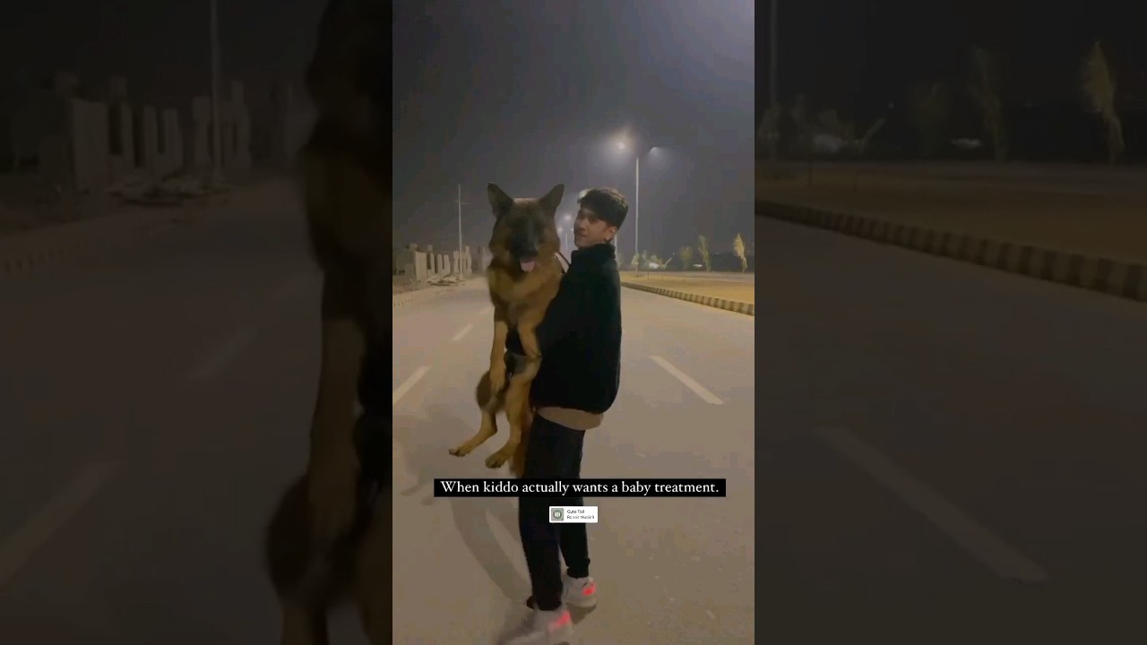 Mayi ri 's #fakhir Samar Abbas with his cute #floyd 🥰 #samar #mayiri #love #shorts