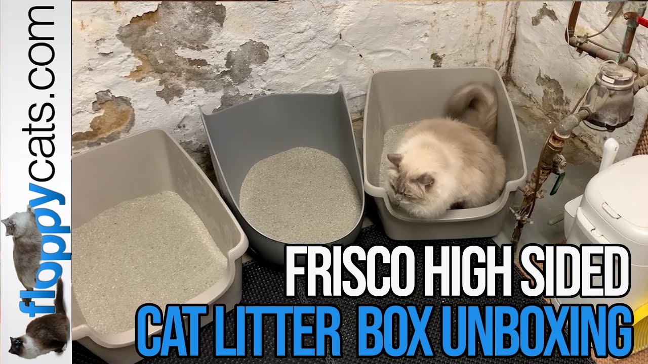 Extra Large High Sided Cat Litter Box from Frisco by Chewy Unboxing