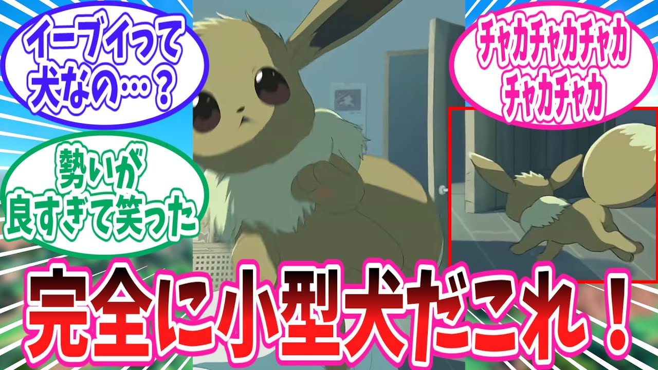 あまりにも小型犬すぎるイーブイのポケ起きに対するトレーナー達の反応集【ポケモン反応集】