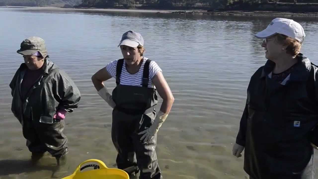 Gac3TV - Mariscadoras do Anll&oacute;ns.mp4