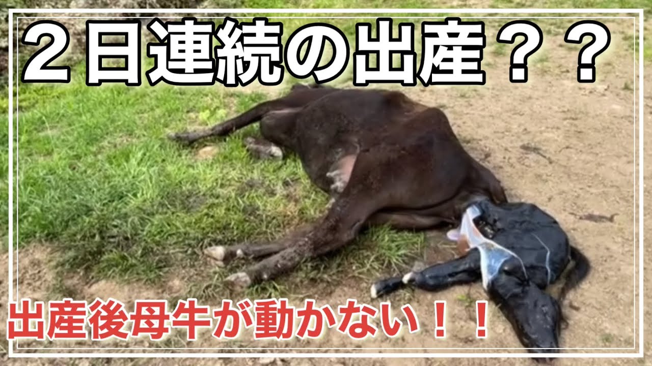 出産の次の日に出産
