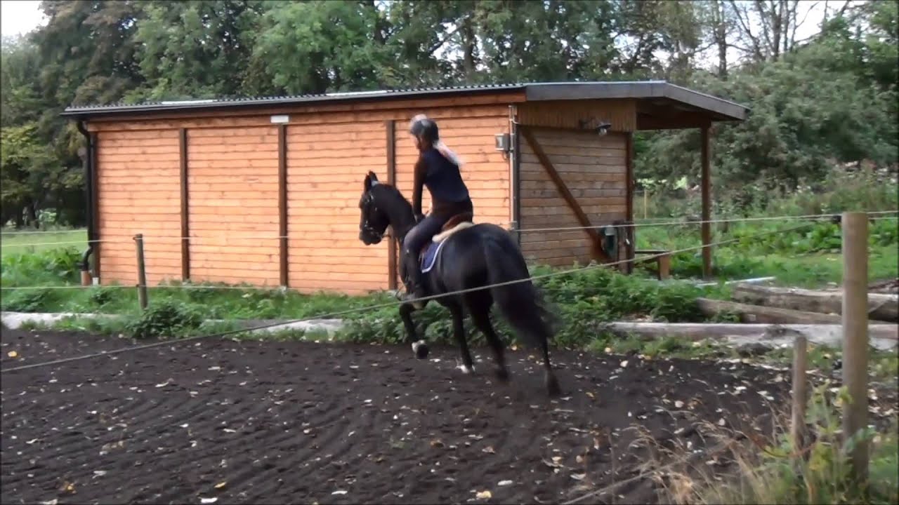 Elsa provrider Emerald Victor