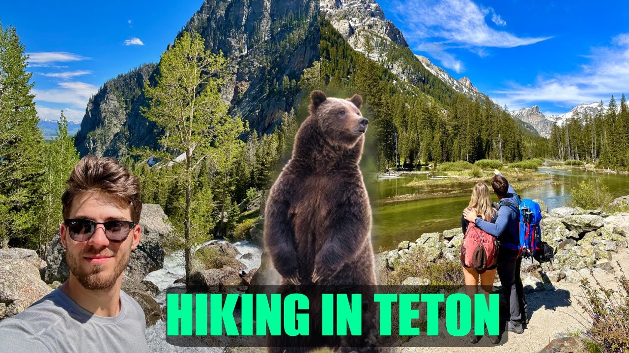 SHARING THE TRAIL WITH A BEAR IN GRAND TETON!!