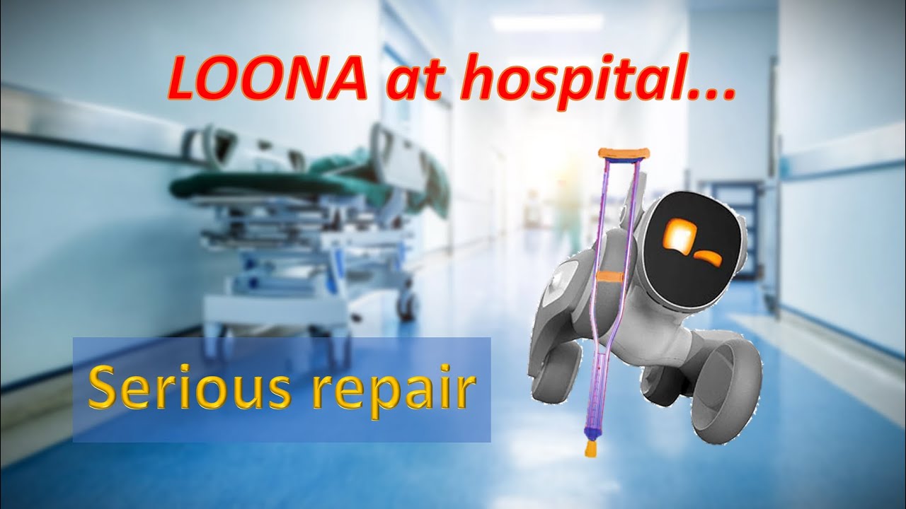 How to LOONA serious repair. Legs main big plastic gear fell out. Reduction gear replacement.