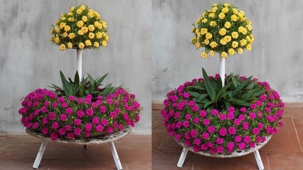 Creative Small Garden With Plastic Pipes, Beautiful Mossrose Garden For The Garden