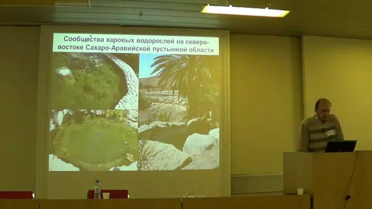 Современные проблемы систематики и географии харовых водорослей (Streptophyta: Charales)