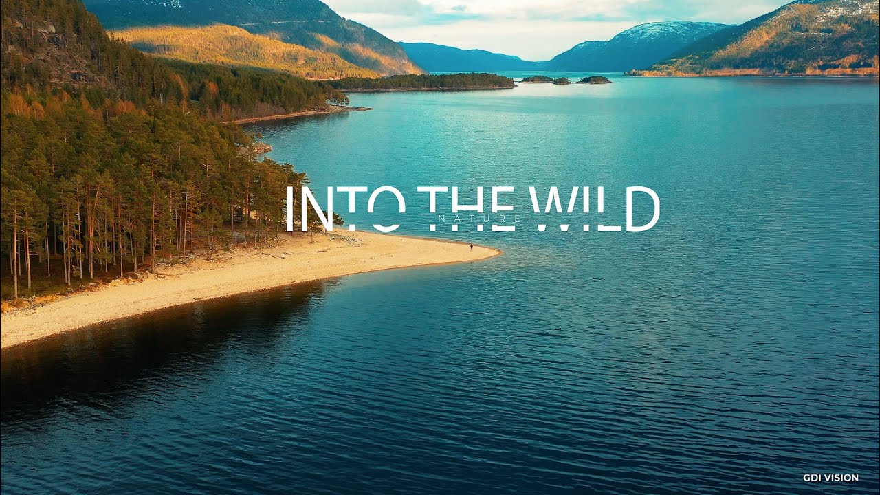 INTO THE WILD NATURE OF TELEMARK 4K, NORWAY 2021