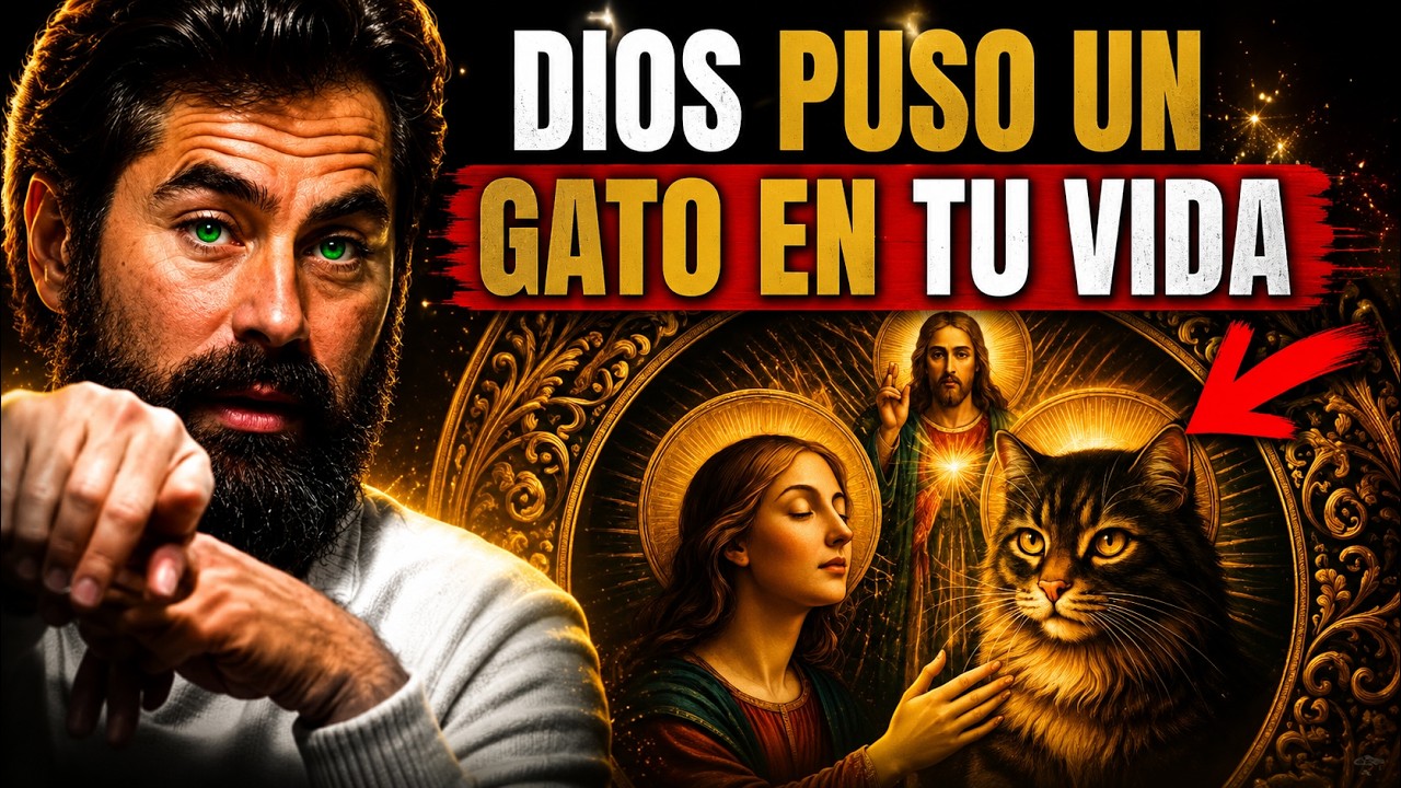 ¿Por Qué Dios Puso un Gato en Tu Vida? 🐾 El Significado Espiritual de los Gatos | Mensaje Divino