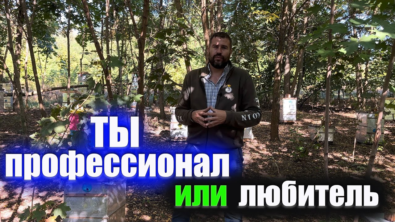 Профессиональная пасека это...
