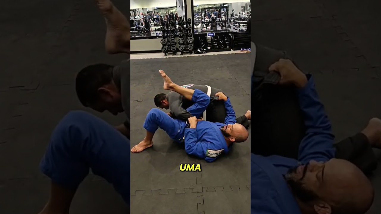 OMOPLATA DA GUARDA FECHADA 