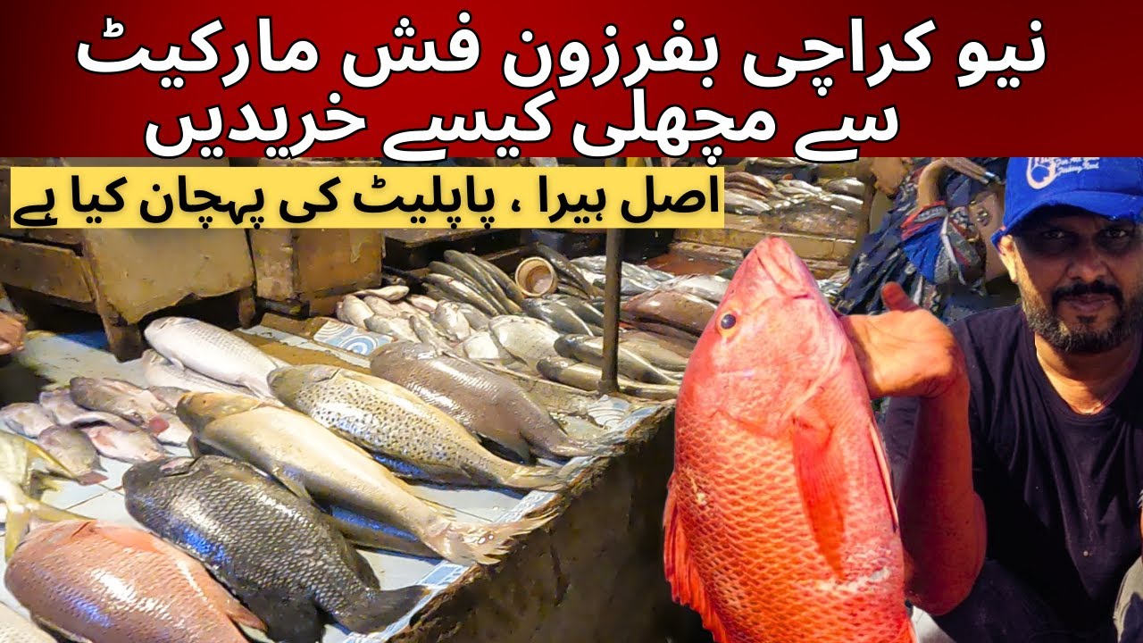 New karachi Buffer zone fish market | How to buy Fish in Pakistan | Karachi Fish Market 2023