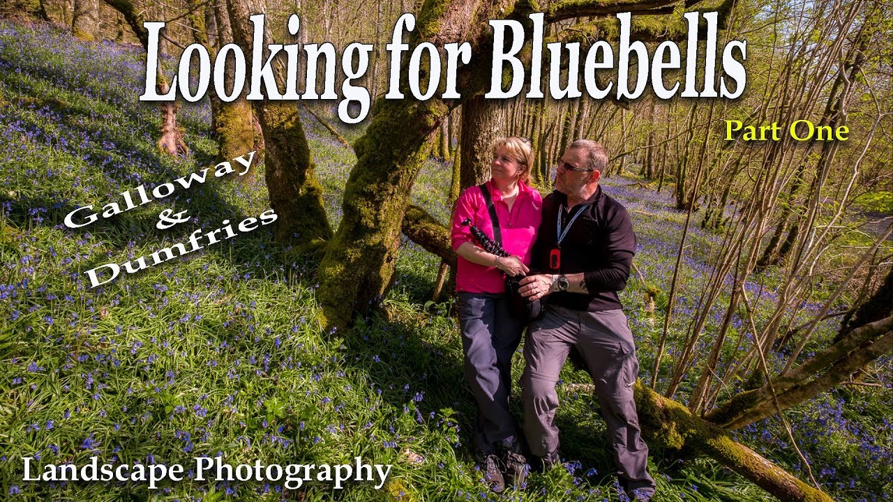 Looking for Bluebells - UK Landscape Photography