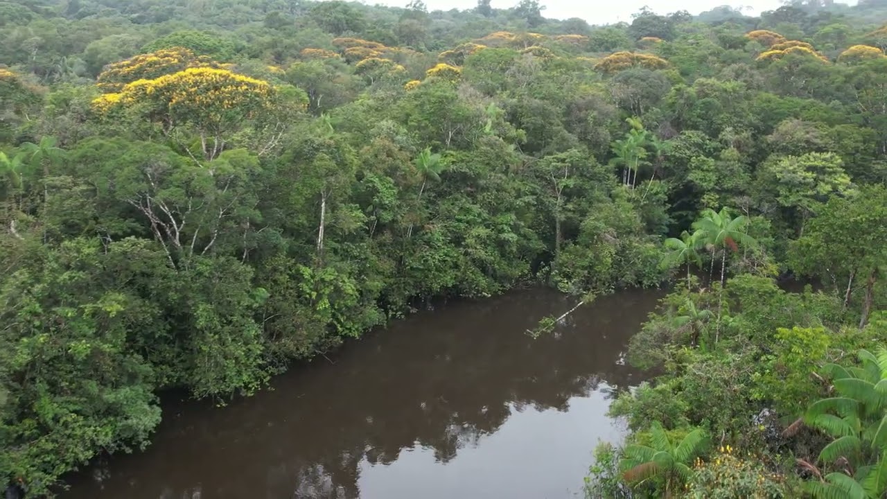 GUYANE - 