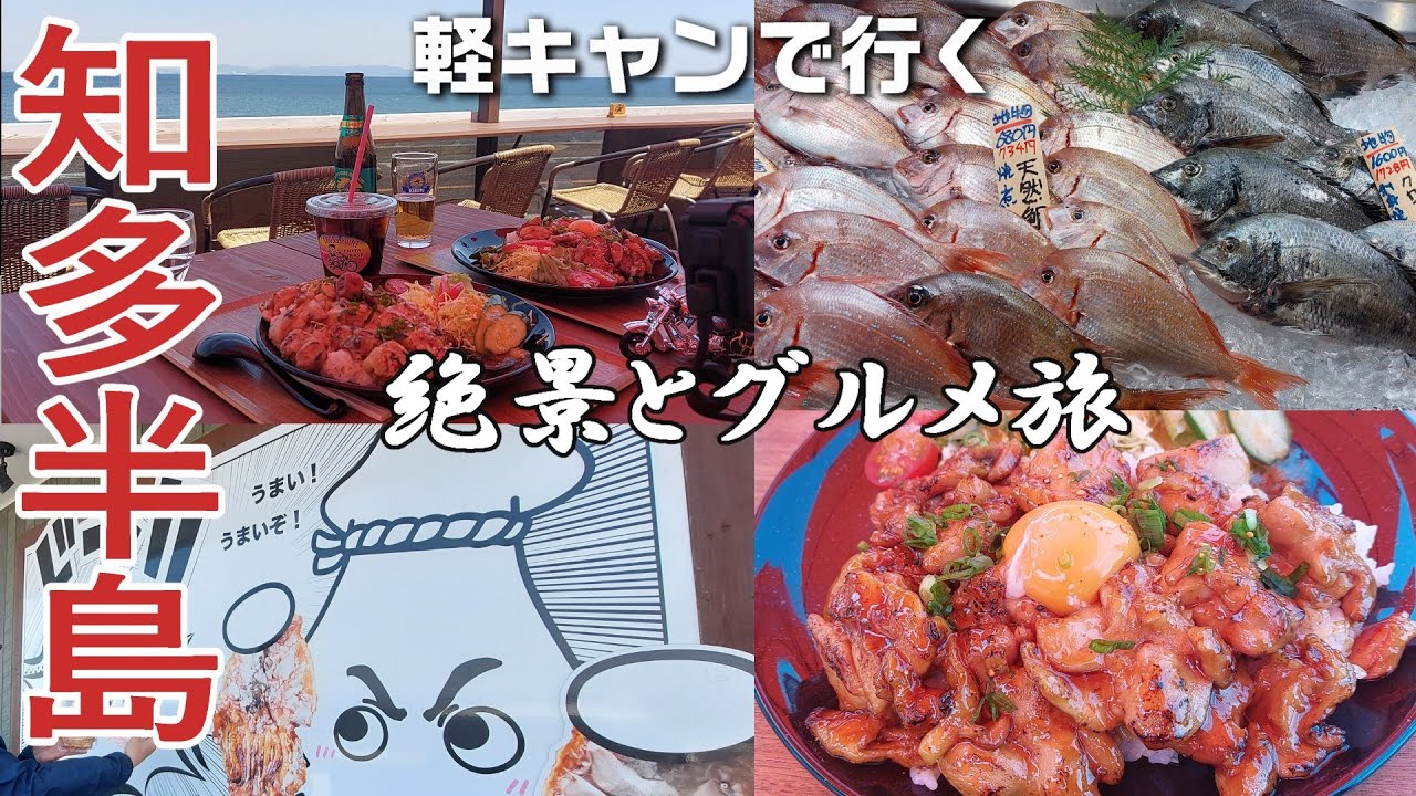 【犬旅 愛知】知多半島と言ったらここ/絶景とグルメ旅 #魚太郎　#CROSSPOINT　#豊半
