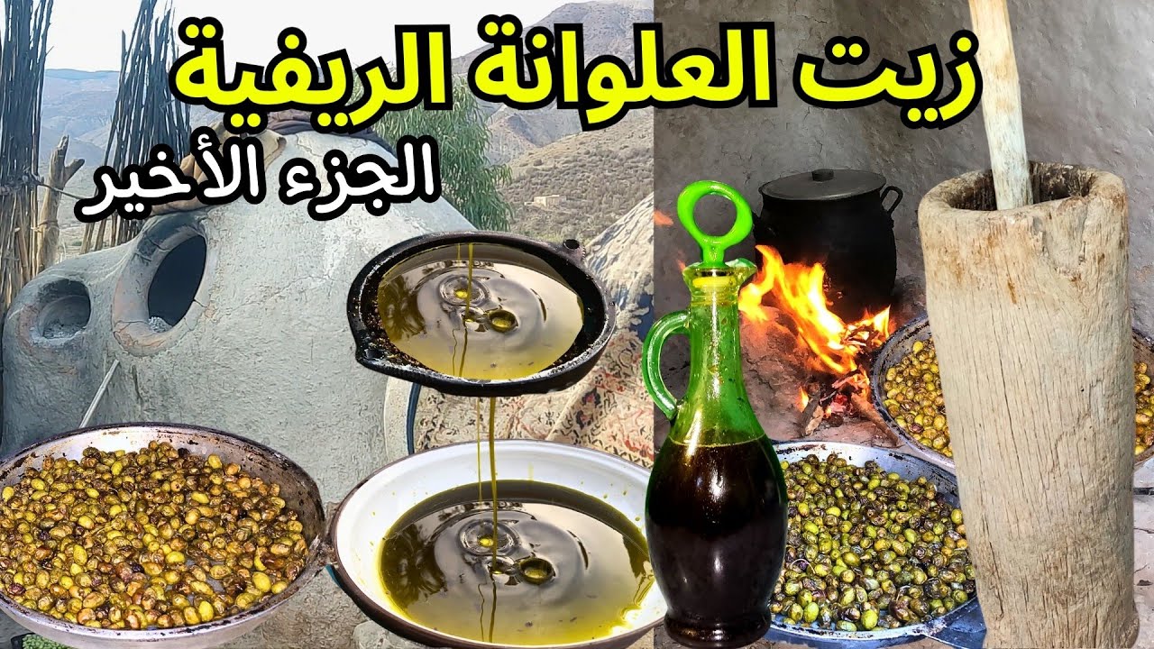 اعداد زيت الزيتون العلوانة التقليدية بنواحي الحسيمة - الجزء الأخير 