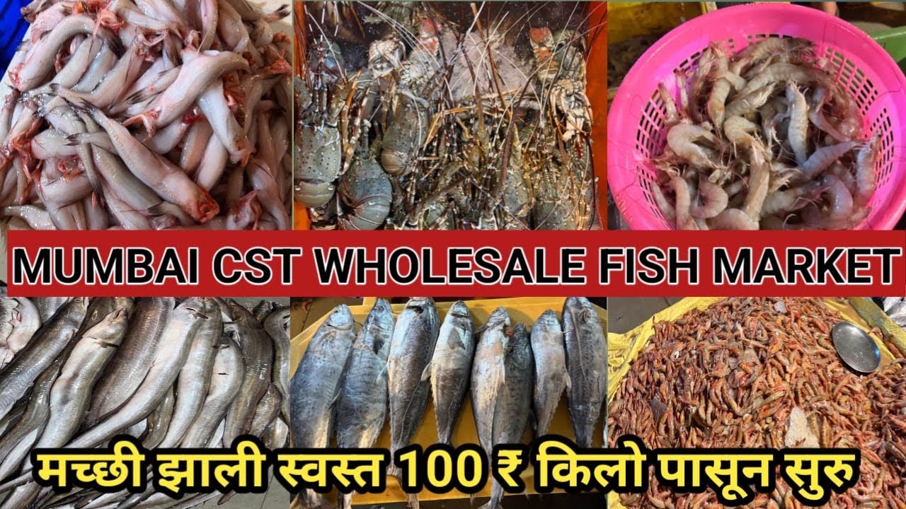 १०० ₹ किलो बाँबिल 😱| Mumbai CST Fish Market | Wholesale Fish Market In Mumbai | CST Fish Full Tour 