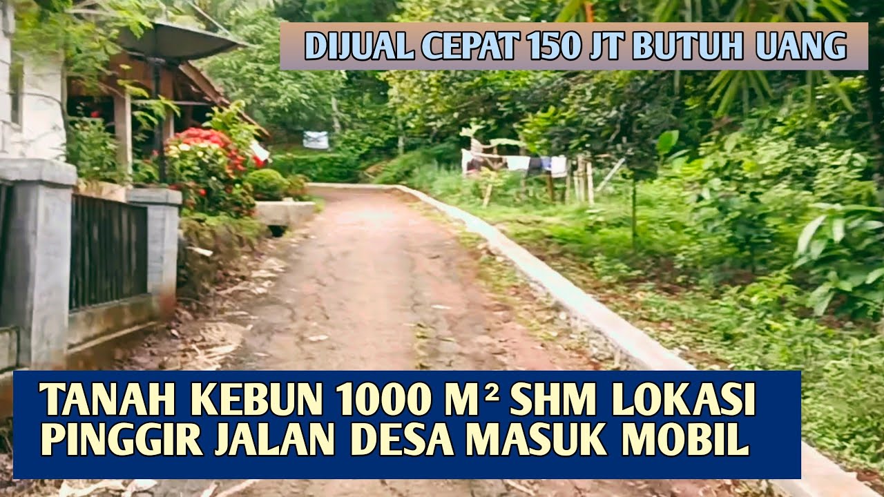 Tanah Dijual Murah Luas 1000 m² SHM Akses Mobil Pinggir Jalan Desa Harga 150 jt Nego