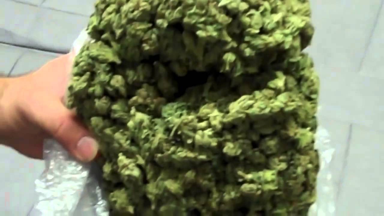 The worlds best bud trimmer   YouTube 0