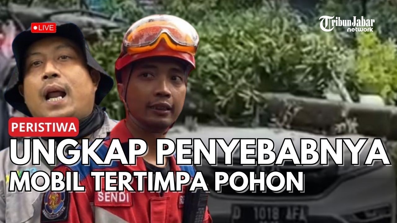 🔴 LIVE Dago Bandung: Mobil Tertimpa Pohon, Damkar Pastikan Tak Ada Korban