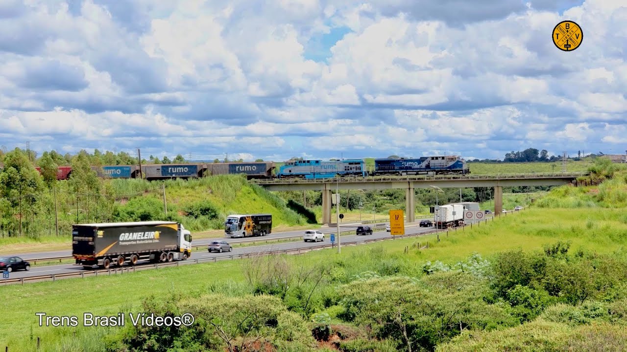 🇧🇷TREM da RUMO CORTANDO SOBRE A RODOVIA WASHINGTON LUÍS | RIO CLARO - SP.
