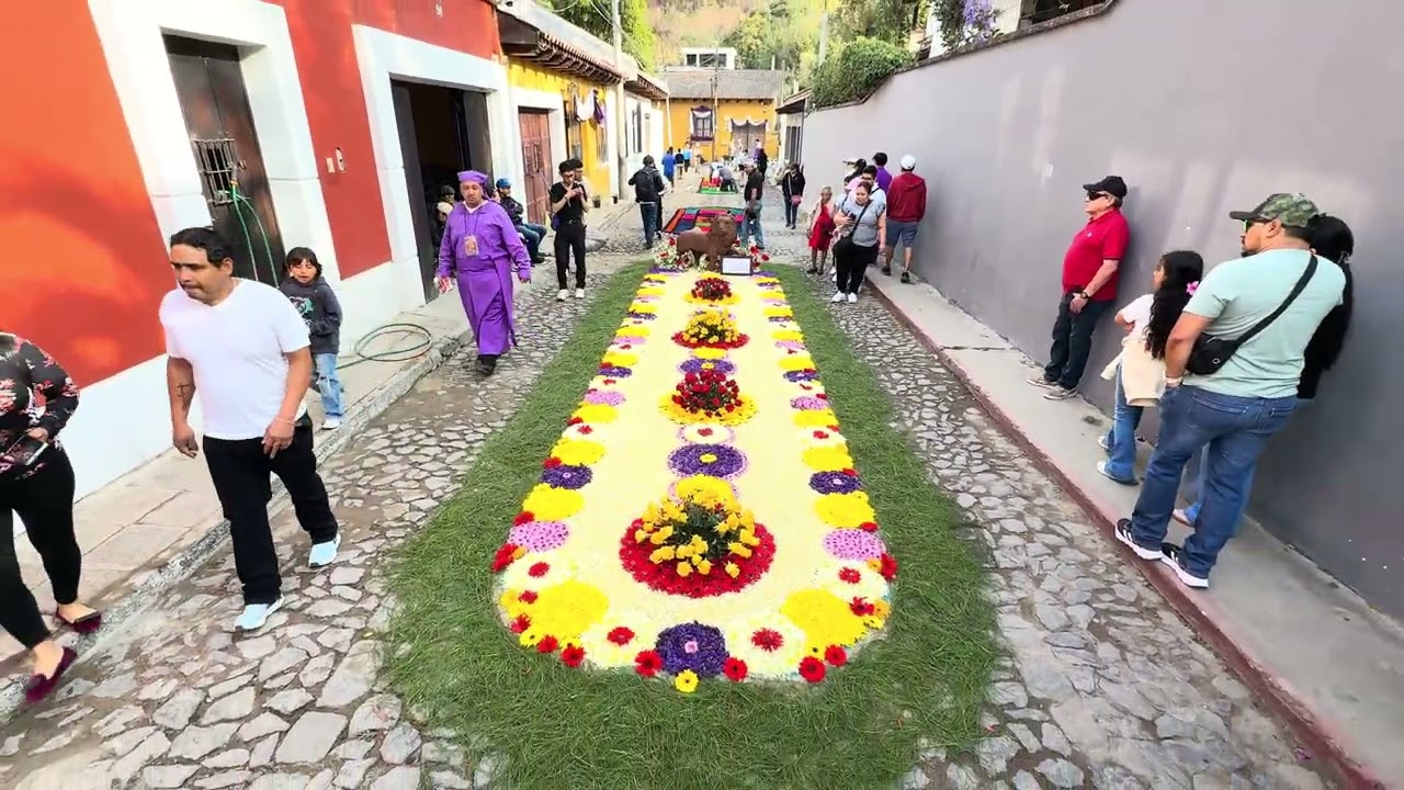 Coloridas alfombras y procesión de Jesús De La Dulce Mirada… Aldea de Santa Ana.. Antigua G 2026