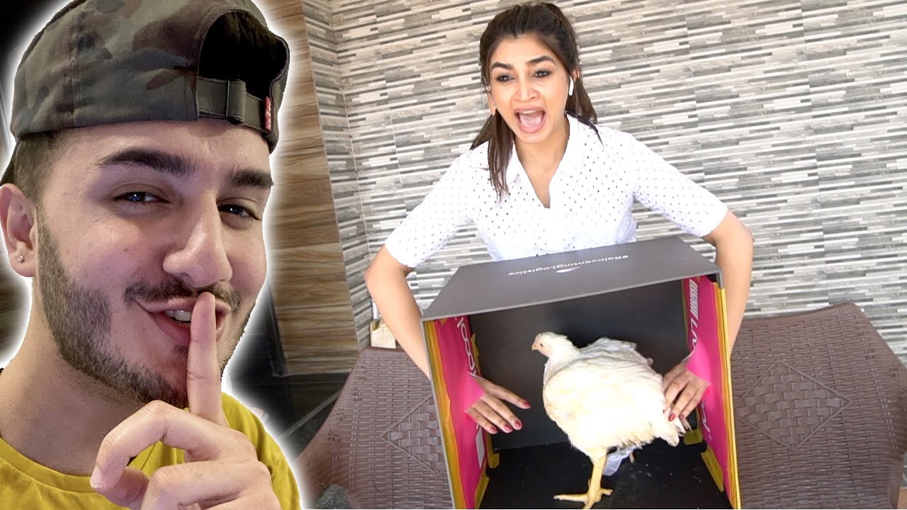 CHICKEN IN THE BOX (SHE FREAKED OUT!)