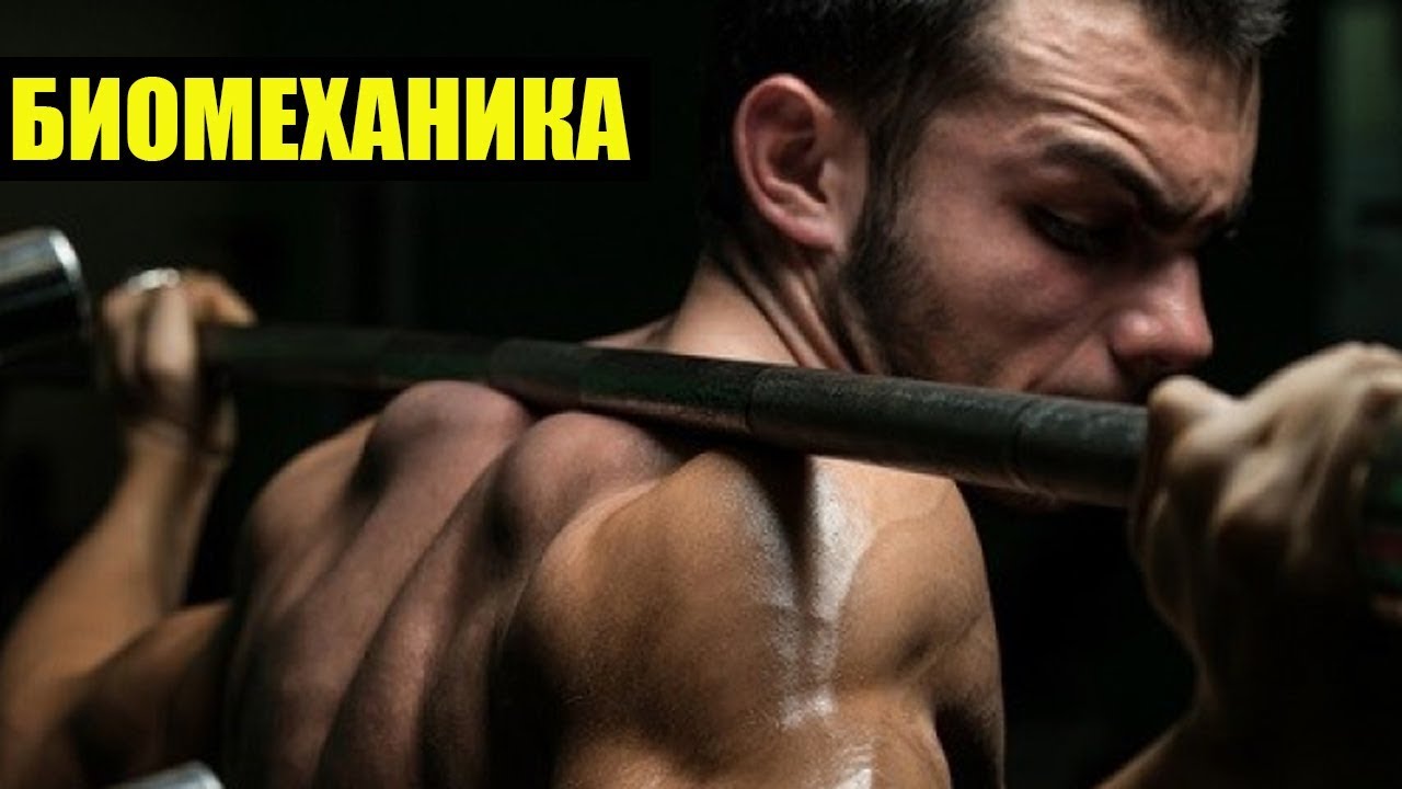 2 ОШИБКИ УБИВАЮЩИЕ ПРОГРЕСС В ПРИСЕДАНИЯХ И ВЫПАДАХ. БИОМЕХАНИКА