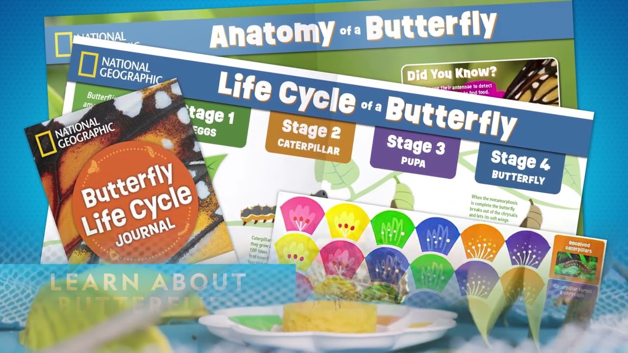 NATIONAL GEOGRAPHIC Ultimate Butterfly Growing Kit