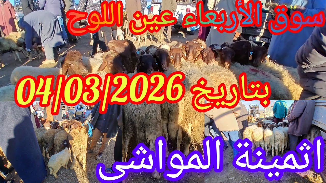 سوق الأربعاء عين اللوح بتاريخ 04/03/2026 #اكسبلور 