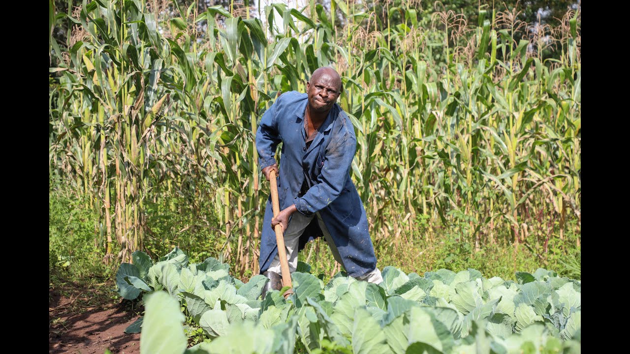 Chepkaitit Irrigation Scheme - Trans nzoia County