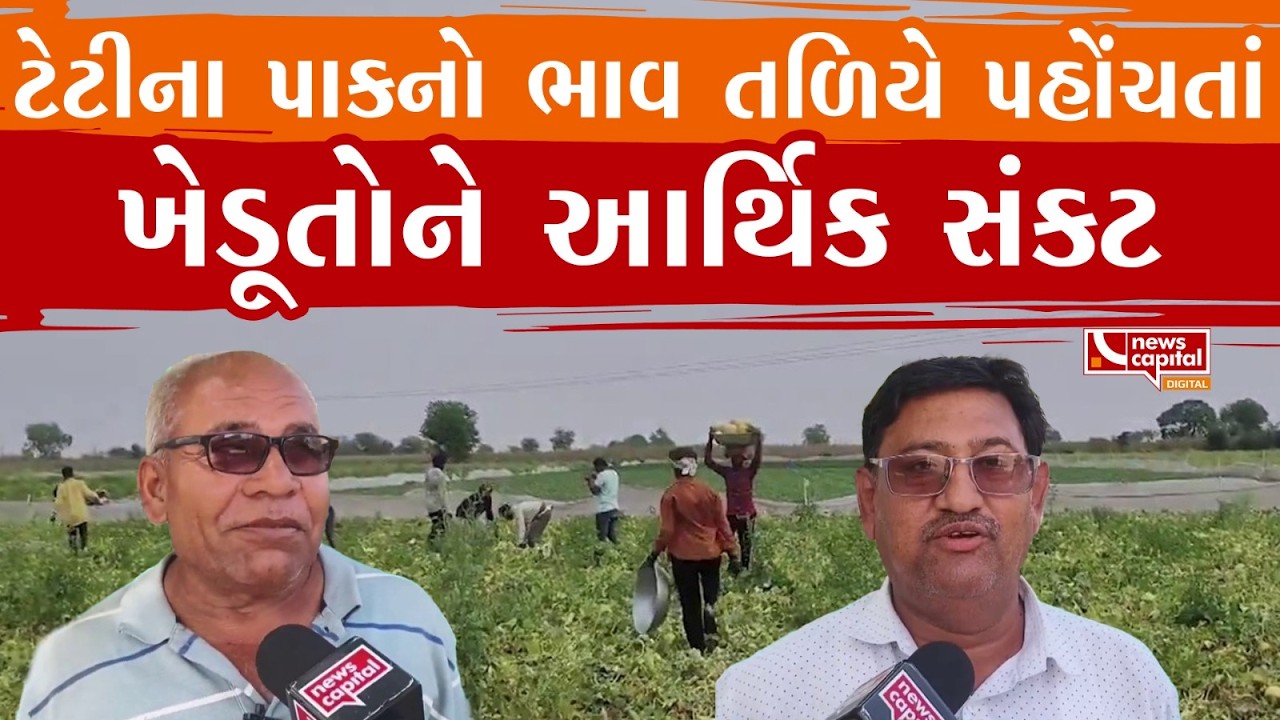 Sabarkantha : ટેટી પાકને ભાવ તળિયે પહોંચતાં ખેડૂતોને આર્થિક સંકટ | News Capital
