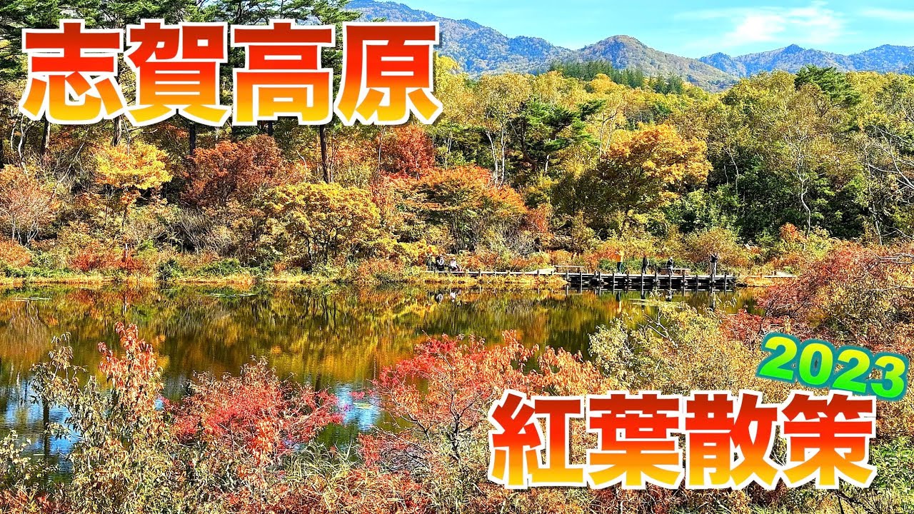 【志賀高原紅葉散策2023秋】【紅葉見頃～色づきはじめ】【木戸池・丸池・蓮池・一沼・琵琶池など～渋峠】【長野県　志賀高原・渋峠周辺】／４Ｋ／SHIGA KOGEN Autumn leaves