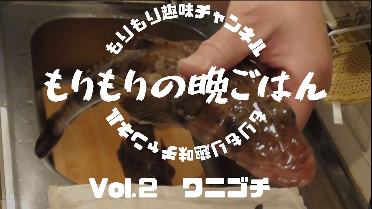 もりもりの晩ごはんNo 2 ワニゴチ